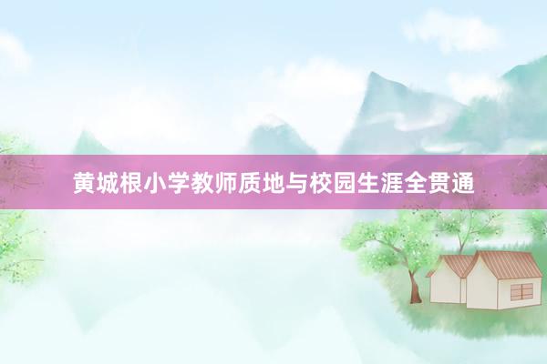 黄城根小学教师质地与校园生涯全贯通