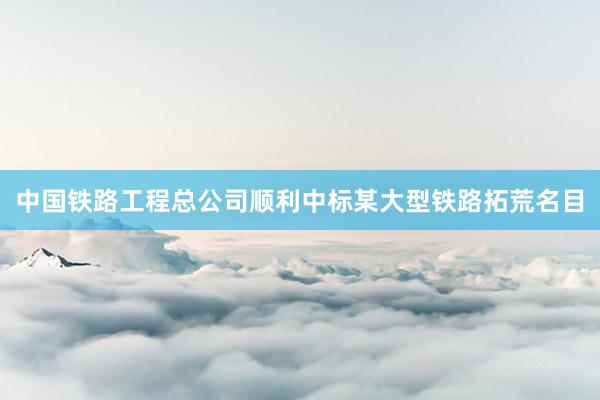 中国铁路工程总公司顺利中标某大型铁路拓荒名目