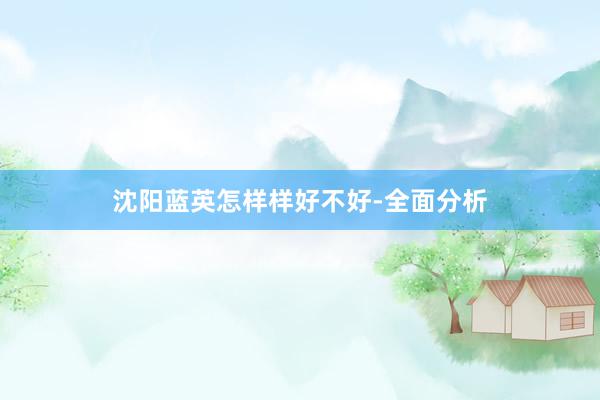 沈阳蓝英怎样样好不好-全面分析